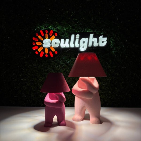 Şapşal Lamba - Bilge